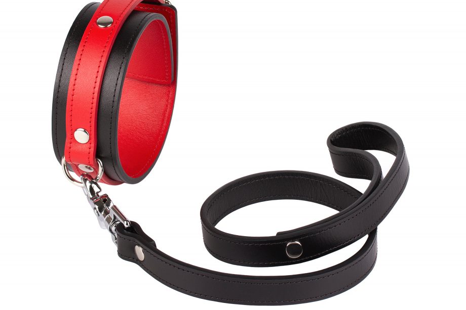 Collars & Leashes